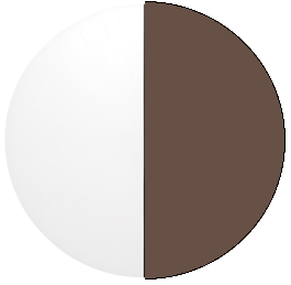 Lucyd Shift Photochromic - Clear to Brown