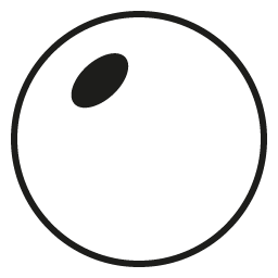 Nonpolarized Sunglasses